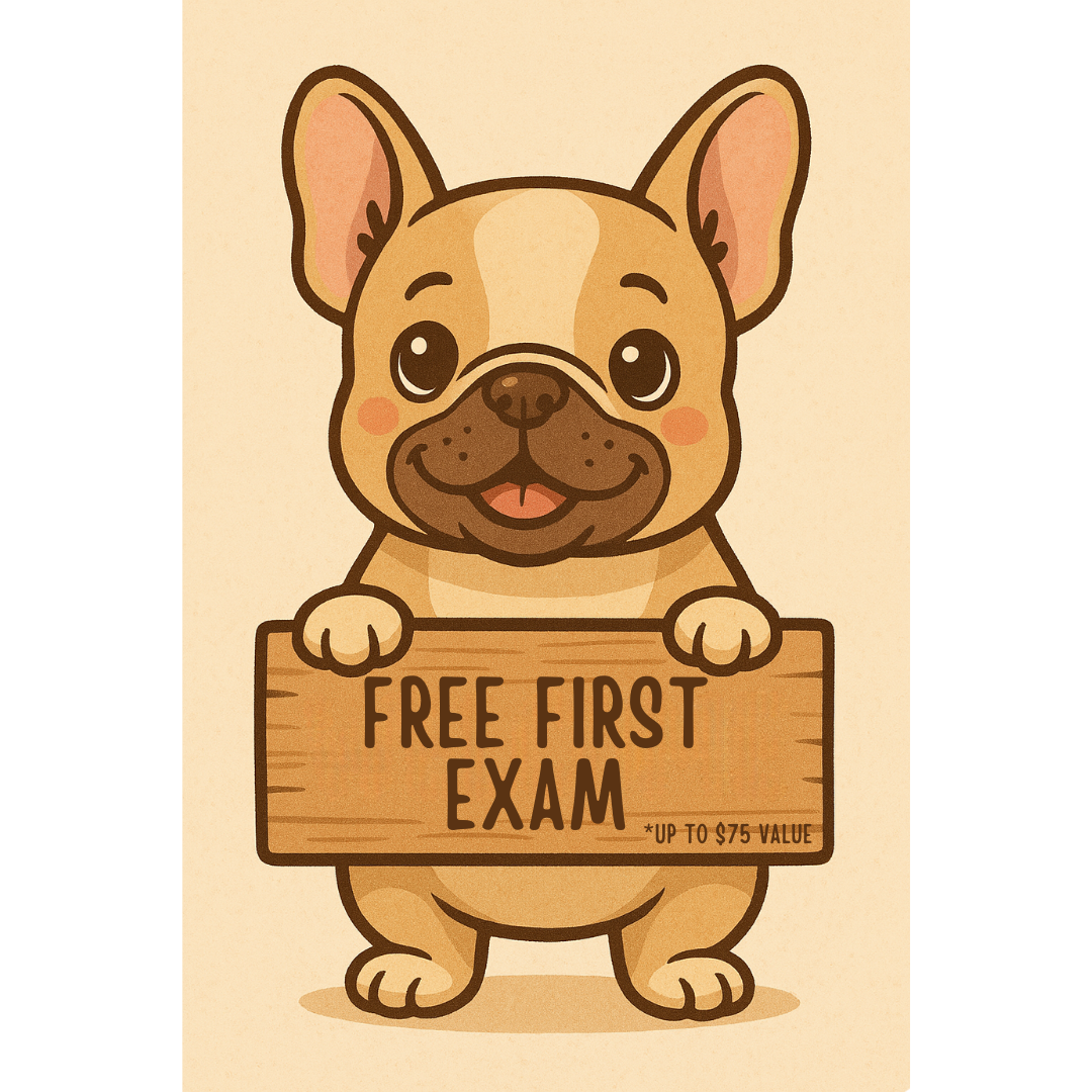 new clients welcome  Manchester, MO 