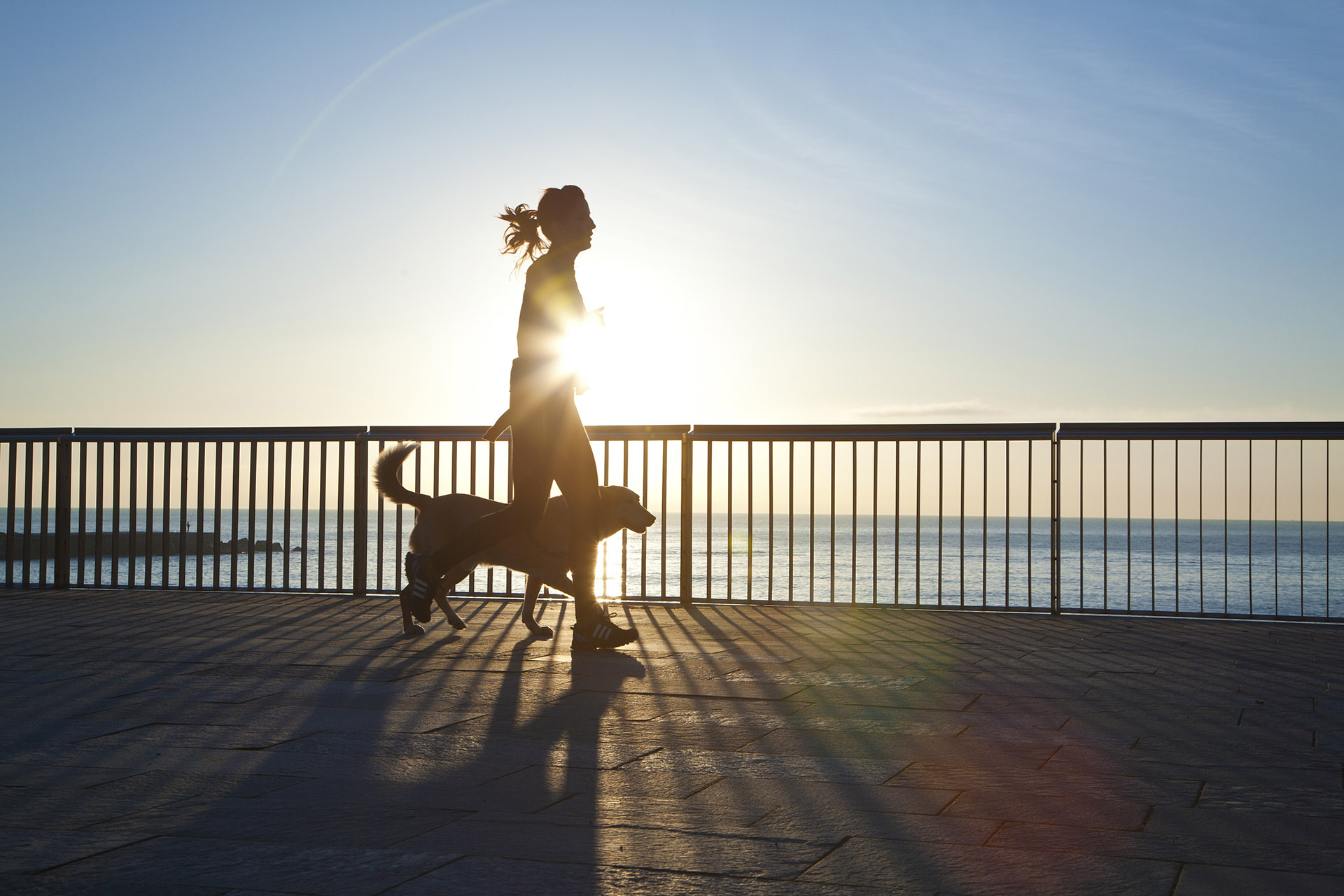 Behavior Services  Manchester, MO 